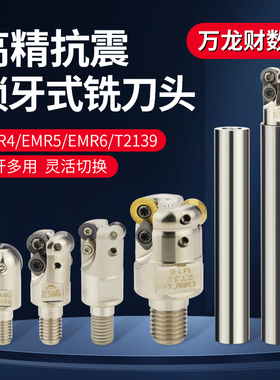 抗震分体式铣刀头EMR4 R5 R6 T2139可换刀头锁牙头螺纹头抗震杆