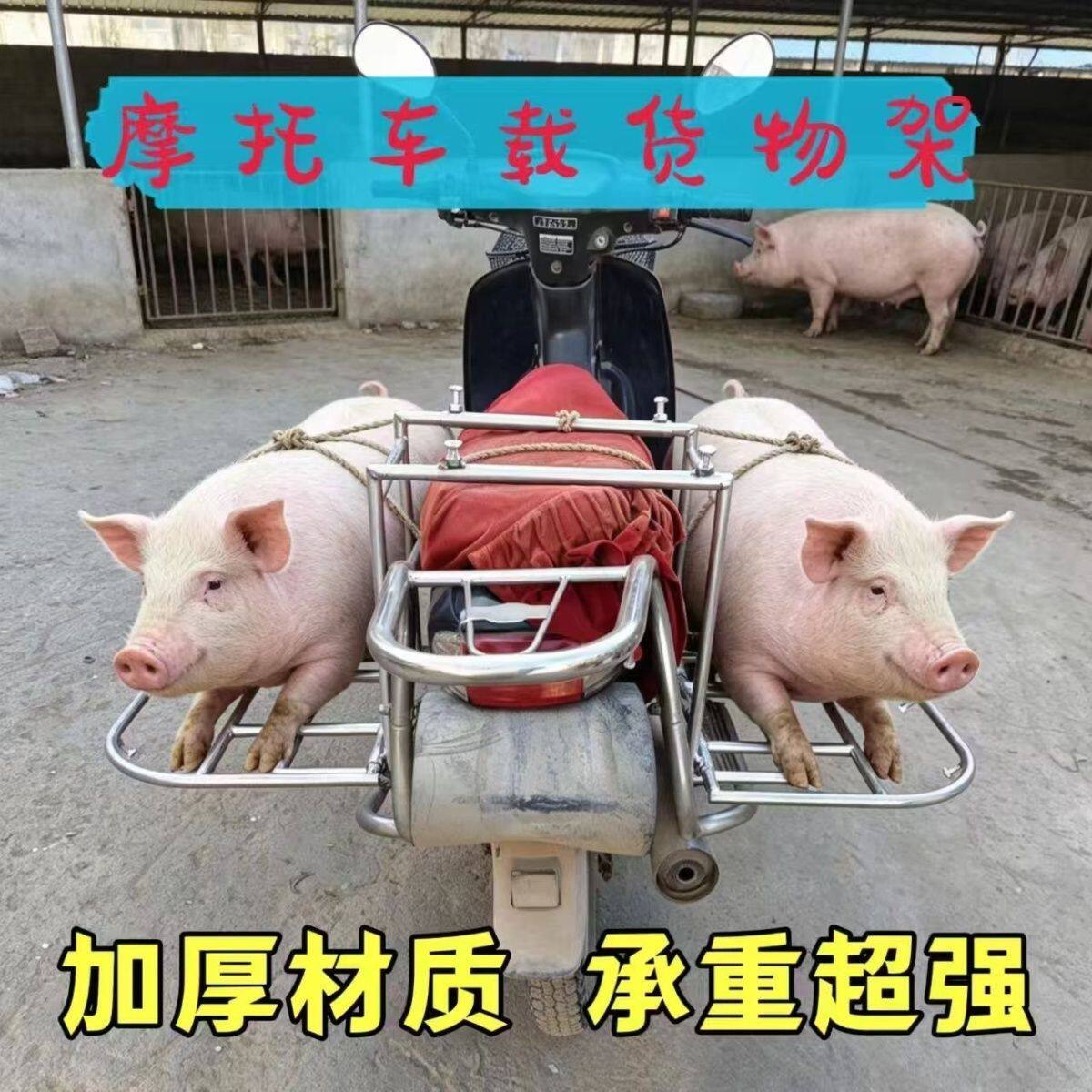 新品摩托电动车后货架可折叠伸缩双侧架外卖踏板载货通用拉货神器