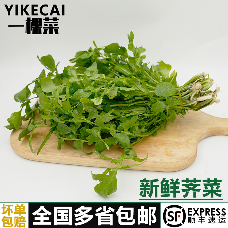 新鲜大叶荠菜半斤-5斤野菜农家蔬菜现挖香荠菜新鲜馄饨饺子馅食材