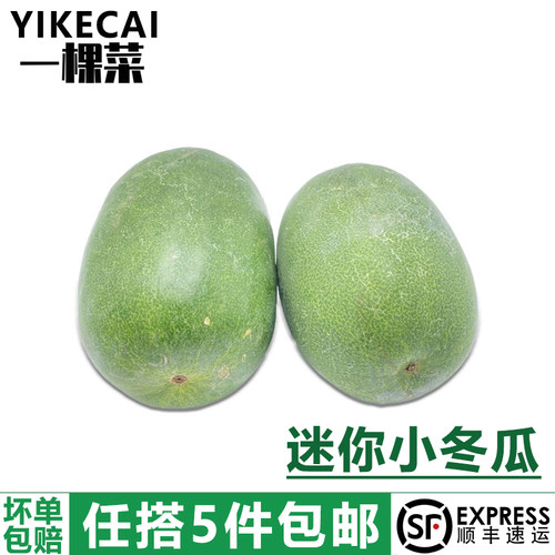 迷你小冬瓜约350g新鲜挂霜