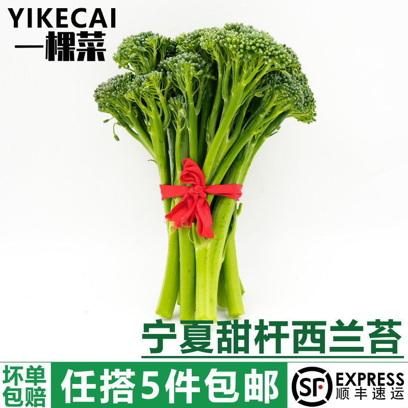 【YIKECAI 】宁夏甜杆西兰苔500g 新鲜手指西兰花苔 芦笋青花苔