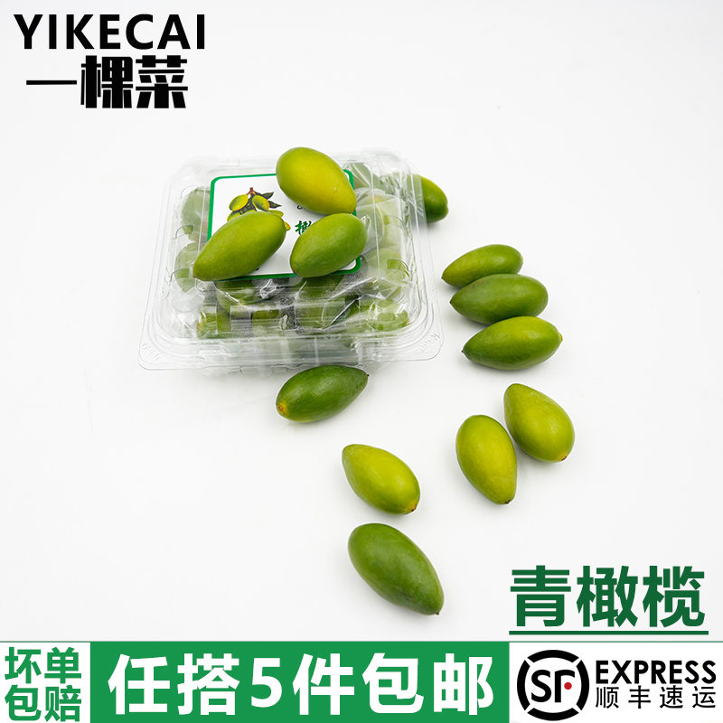 新鲜青橄榄生橄榄果水果