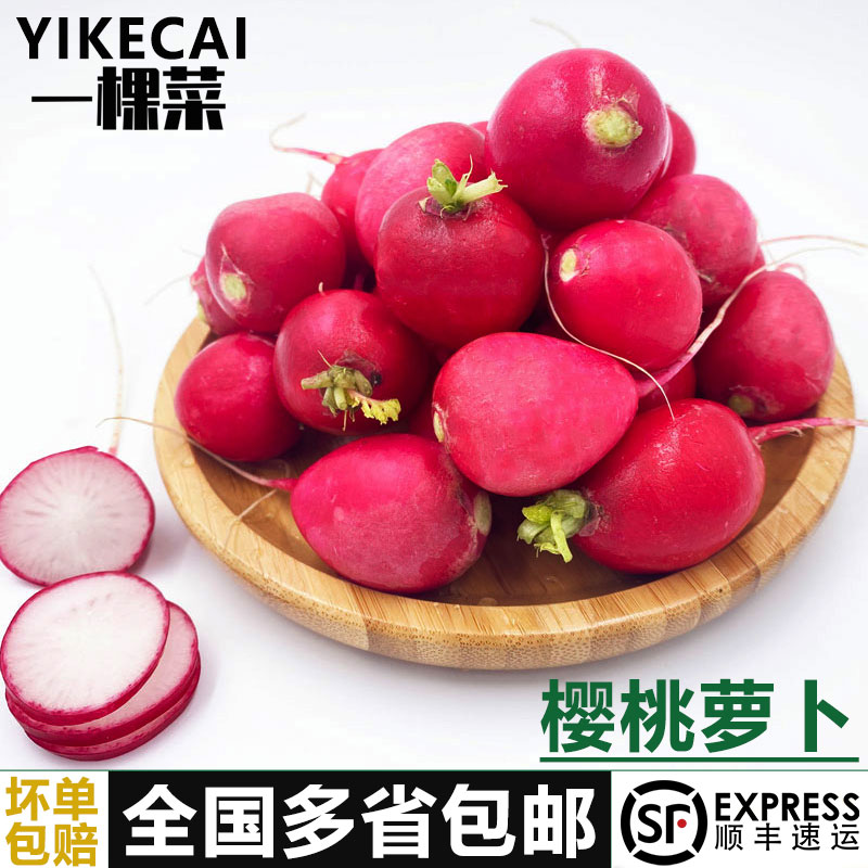 1-5斤樱桃萝卜YIKECAI