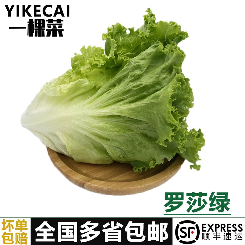 罗莎绿新鲜蔬菜沙拉食材顺丰包邮
