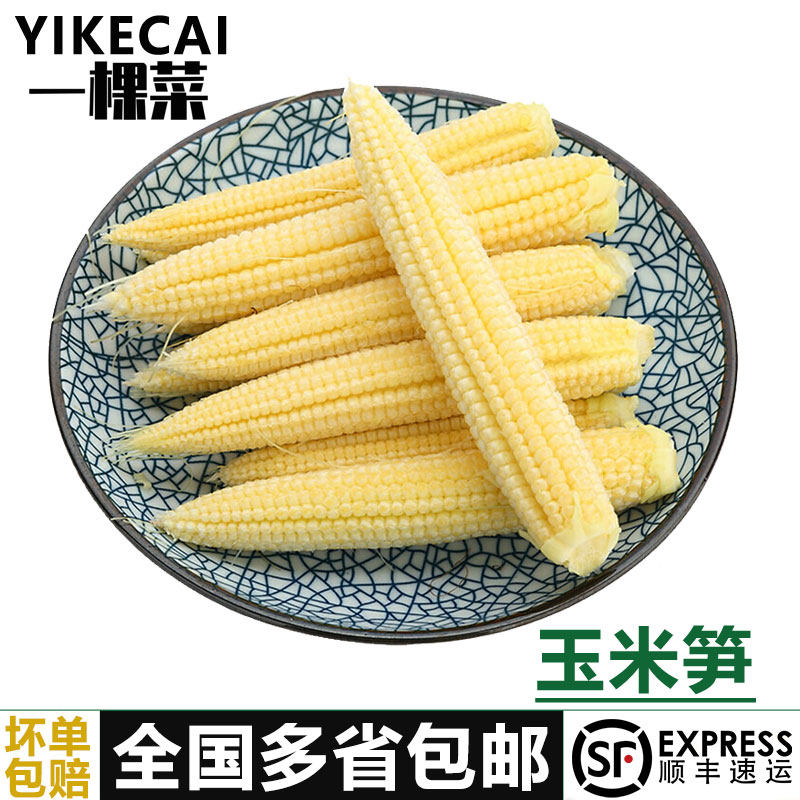 【YIKECAI】新鲜甜玉米笋250g 迷你玉米棒小玉米芯仔水果玉米