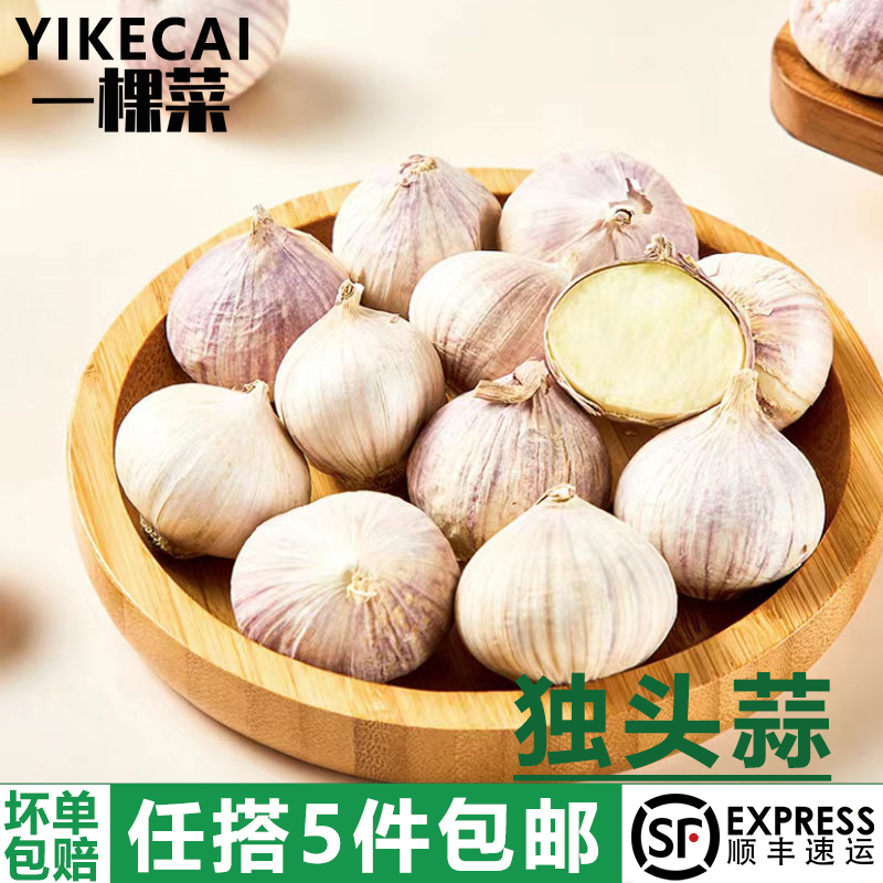 紫皮独头蒜250g大蒜头