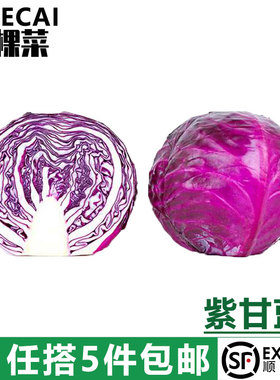 【YIKECAI】紫甘蓝650g紫包菜紫色球生菜红紫椰菜新鲜沙拉食材