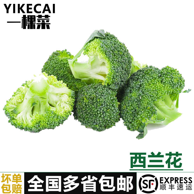 【YIKECAI】西兰花500g小颗西兰花朵青花绿花菜西蓝花椰菜农家菜