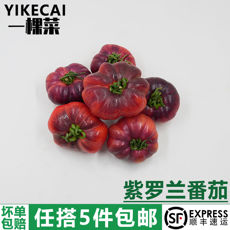 紫罗兰番茄1斤新鲜现摘沙瓤多汁黑鹅肝丑番茄火山马蹄紫西红柿