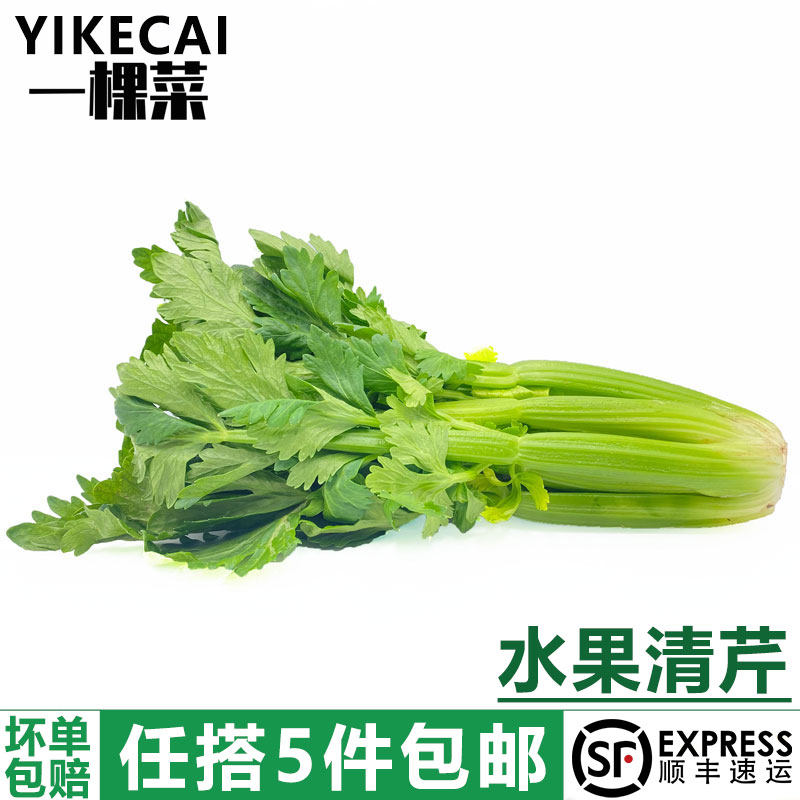 【YIKECAI】新鲜水果西芹250g荷兰清芹榨汁生吃沙拉蔬菜清甜爽口,水产肉类/新鲜蔬果/熟食,叶菜类,淘宝优惠券,粉丝福利购,淘宝优惠卷