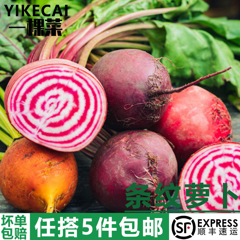【YIKECAI】条纹萝卜500g 新鲜螺旋纹红萝卜甜菜头 西餐报盘装饰