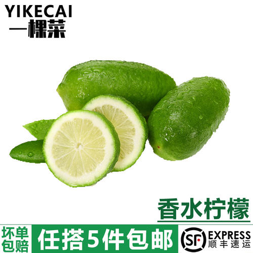 无籽香水柠檬青柠檬新鲜四季青柠
