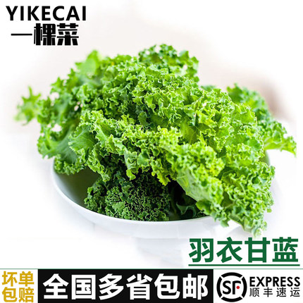 【YIKECAI】羽衣甘蓝 新鲜嫩叶kale健身减榨汁西餐食材脂蔬菜沙拉