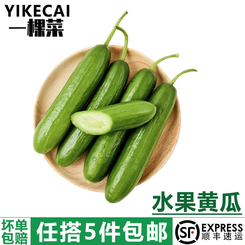 【YIKECAI】水果黄瓜500g荷兰小黄瓜无刺短黄瓜新鲜蔬菜沙拉食材,水产肉类/新鲜蔬果/熟食,黄瓜,淘宝优惠券,粉丝福利购,淘宝优惠卷