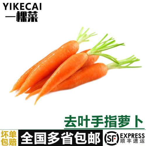 迷你手指萝卜西餐配菜宝宝辅食