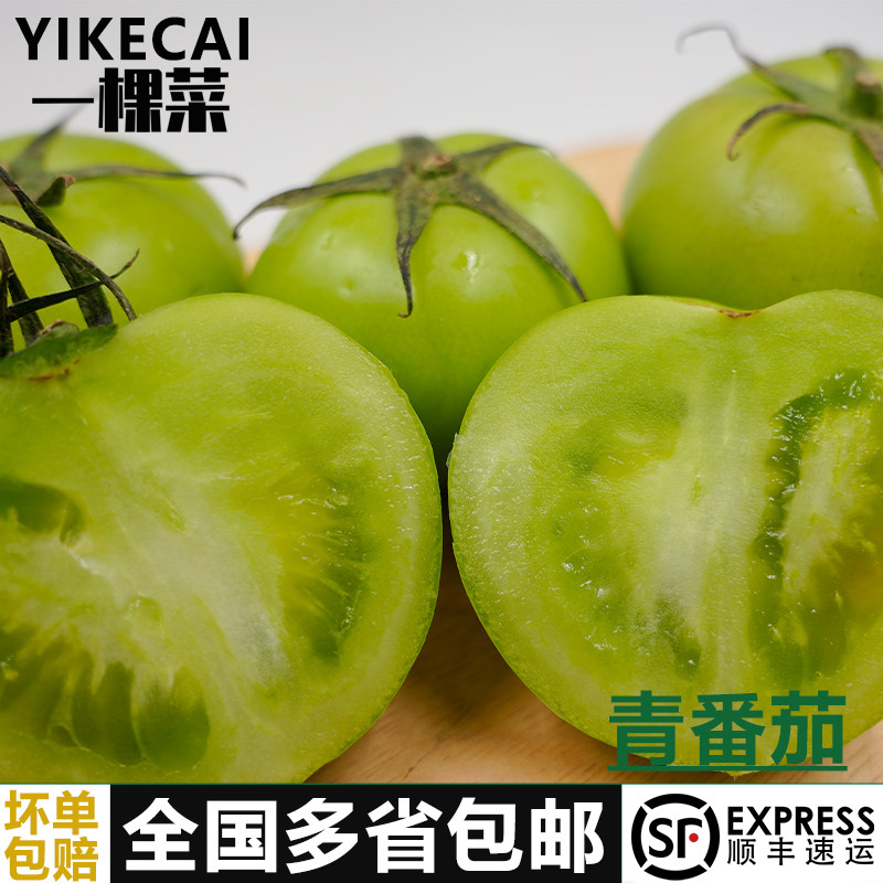 新鲜青番茄1-5斤青西红柿绿色番茄清甜酒店餐厅炒菜腌制商用食材