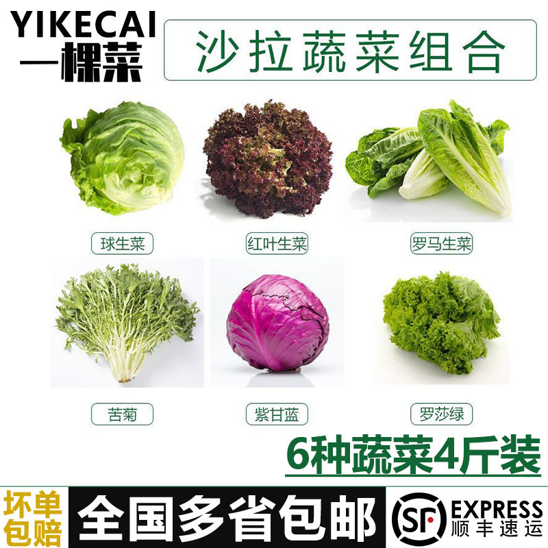 【YIKECAI】 新鲜沙拉蔬菜6种组合装4斤 轻食蔬菜沙拉食材料顺丰
