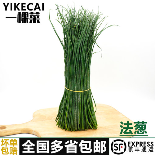 新鲜细香葱欧洲法葱chives