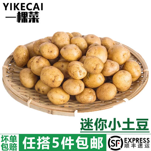 迷你小土豆新鲜蔬菜马铃薯洋山芋