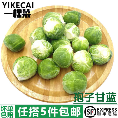 孢子甘蓝500g甘蓝球小包菜卷心