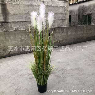 室内大型仿真芦苇盆栽仿真洋葱草狗尾草仿真蒲公英家居落地摆件