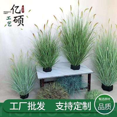 仿真猫尾巴草芦苇草绿植盆栽蒲苇草网红落地家居装饰摆件