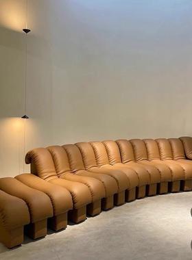 DeSede DS600设计师蛇形沙发别墅大小户型中古组合弧型创意沙发