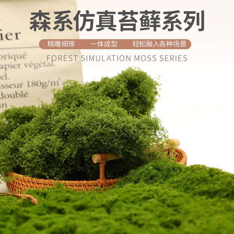 仿真苔藓微景观造景人造青苔永生材料盆景盆栽布置装饰摆放铺面