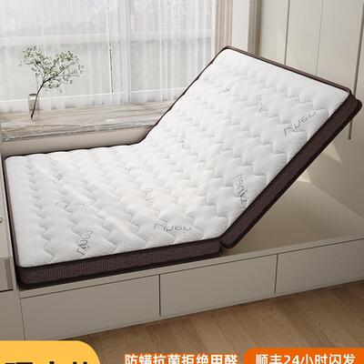 椰棕床垫硬垫子家用卧室榻榻米棕榈床垫儿童床垫180200租房