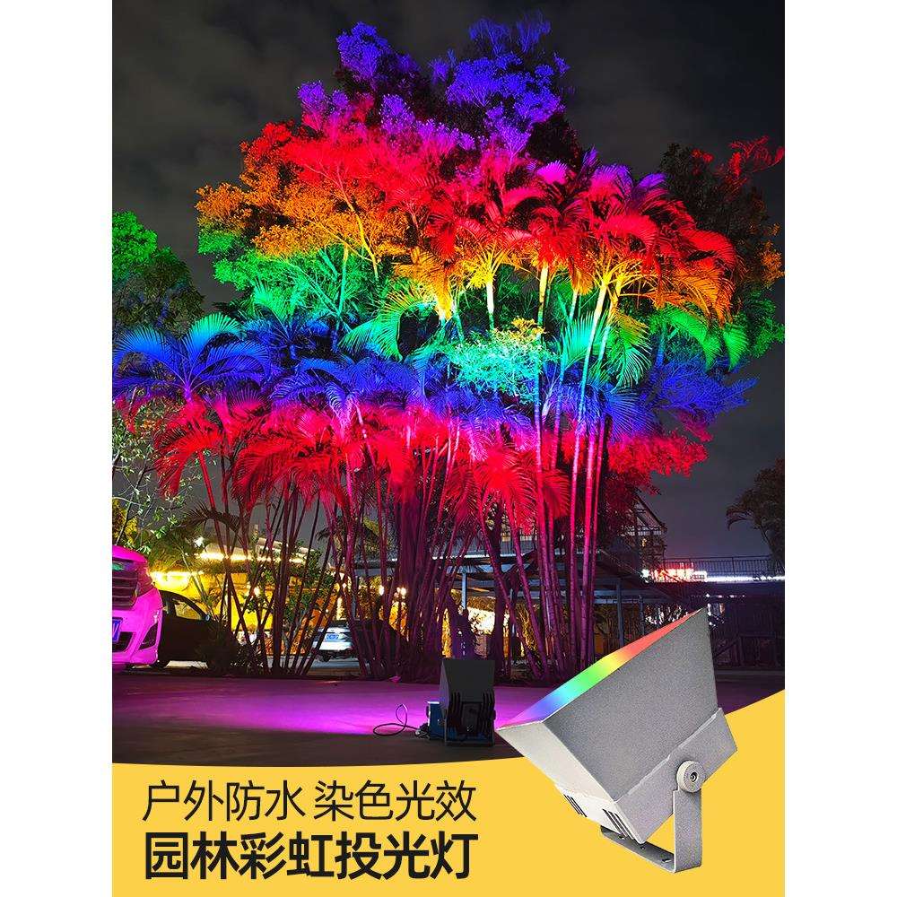 led彩虹灯户外彩光染色射树灯景区文旅灯露营园林景观投光灯