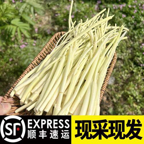 洪湖野生蒲菜新鲜篙菜高菜蒲笋茭白蒿草心时令蔬菜