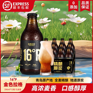 青島特產(chǎn)精釀原漿啤酒青焰高濃度16P拉格啤酒整箱禮盒批發(fā)裝