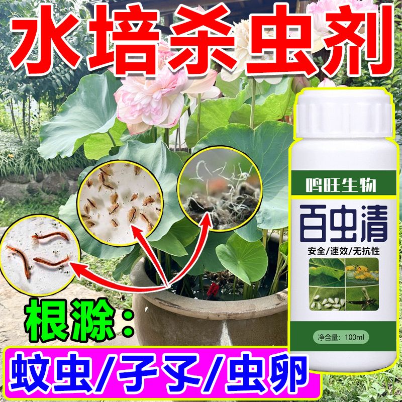 水培蚊虫专用清虫剂虫卵双清