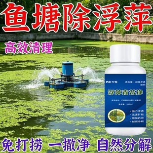 浮萍清除剂鱼塘除藻去苔剂水产养殖除水草藻水花生一扫光清理神器