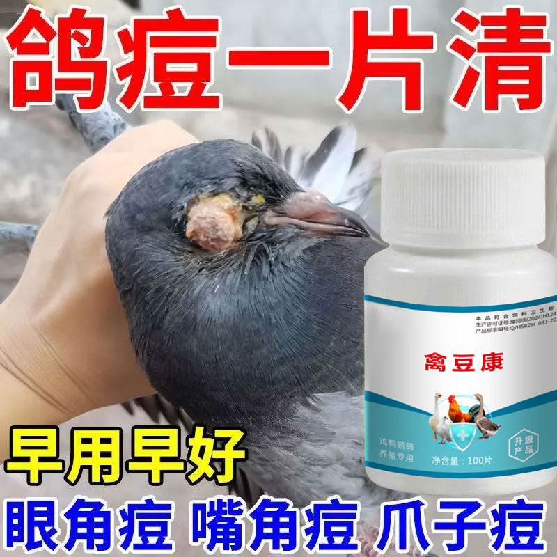 鸽痘特效药治鸽痘鸽瘤嘴角眼皮爪子翅膀长痘鸽鸽痘专用饲料添加剂