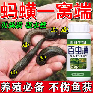 蚂蟥专用蚂蝗净灭蚂蝗正品蚂蝗一次清青蛙养殖黄鳝养殖强效蚂蝗净