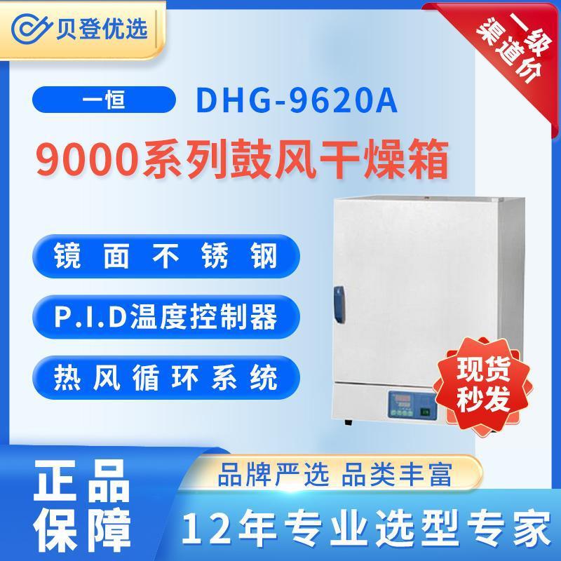 YIHENG9000系列鼓风干燥箱DHG-9620A