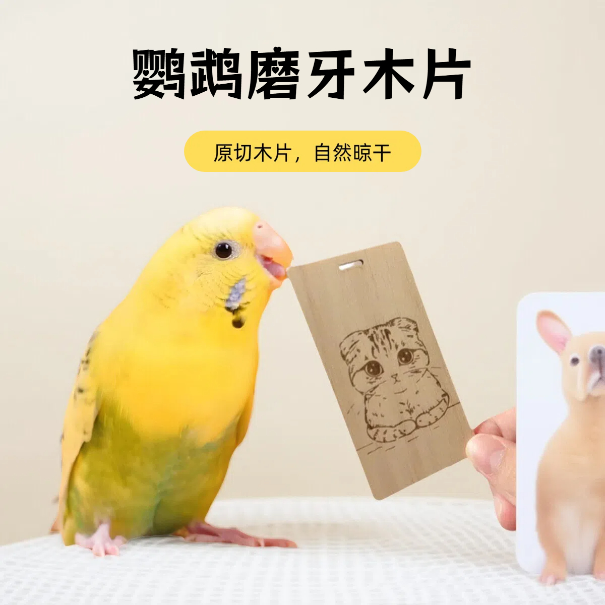 鹦鹉巴沙木啃咬木块发泄玩耍木片牡丹虎皮鸟解闷磨嘴用品