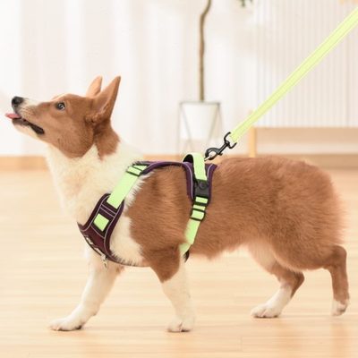 狗狗牵引绳柯基柴犬中大型犬可反光可调节小狗遛狗绳背心式胸背带