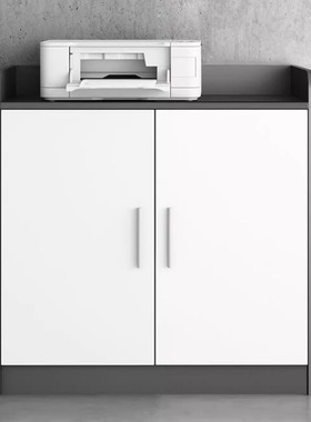 无锡办公家具工厂定制茶水柜办公室侧边柜白色边几简易餐边柜两门