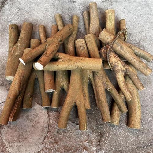 树叉硬叉子纯手工木质弹弓木叉油茶树原叉强力茶子树叉实木弹弓叉