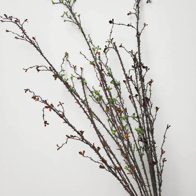 仿真树枝 枯枝 仿真荆棘枝 带刺野山藤 插花配饰造景仿真线条花
