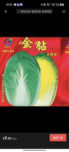 科星大金钻黄心白菜种子  大棵型黄心白菜种子腌储两用棵大心满