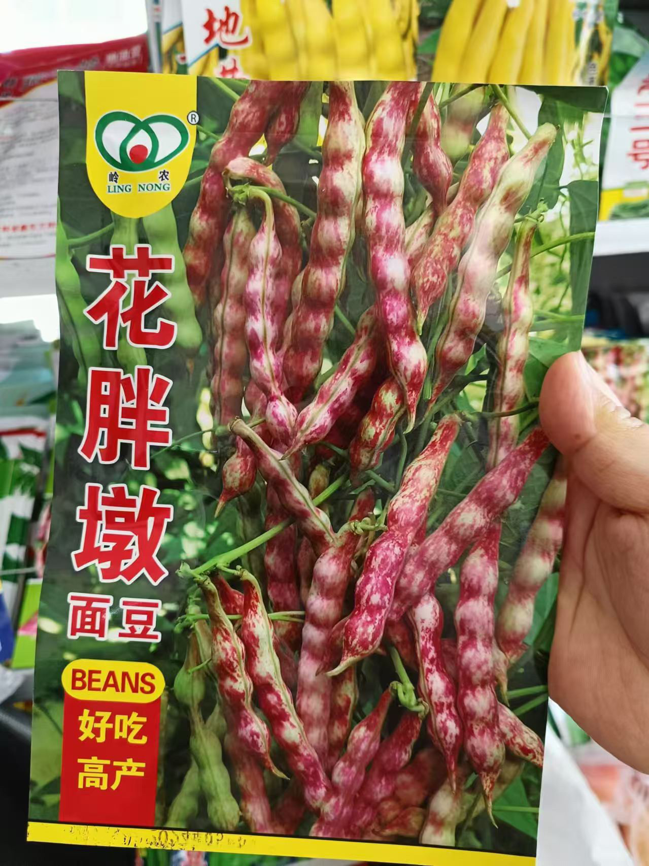 【岭农花胖墩红金钩种子】东北豆角种籽鼓豆面豆无筋春夏蔬菜种孑