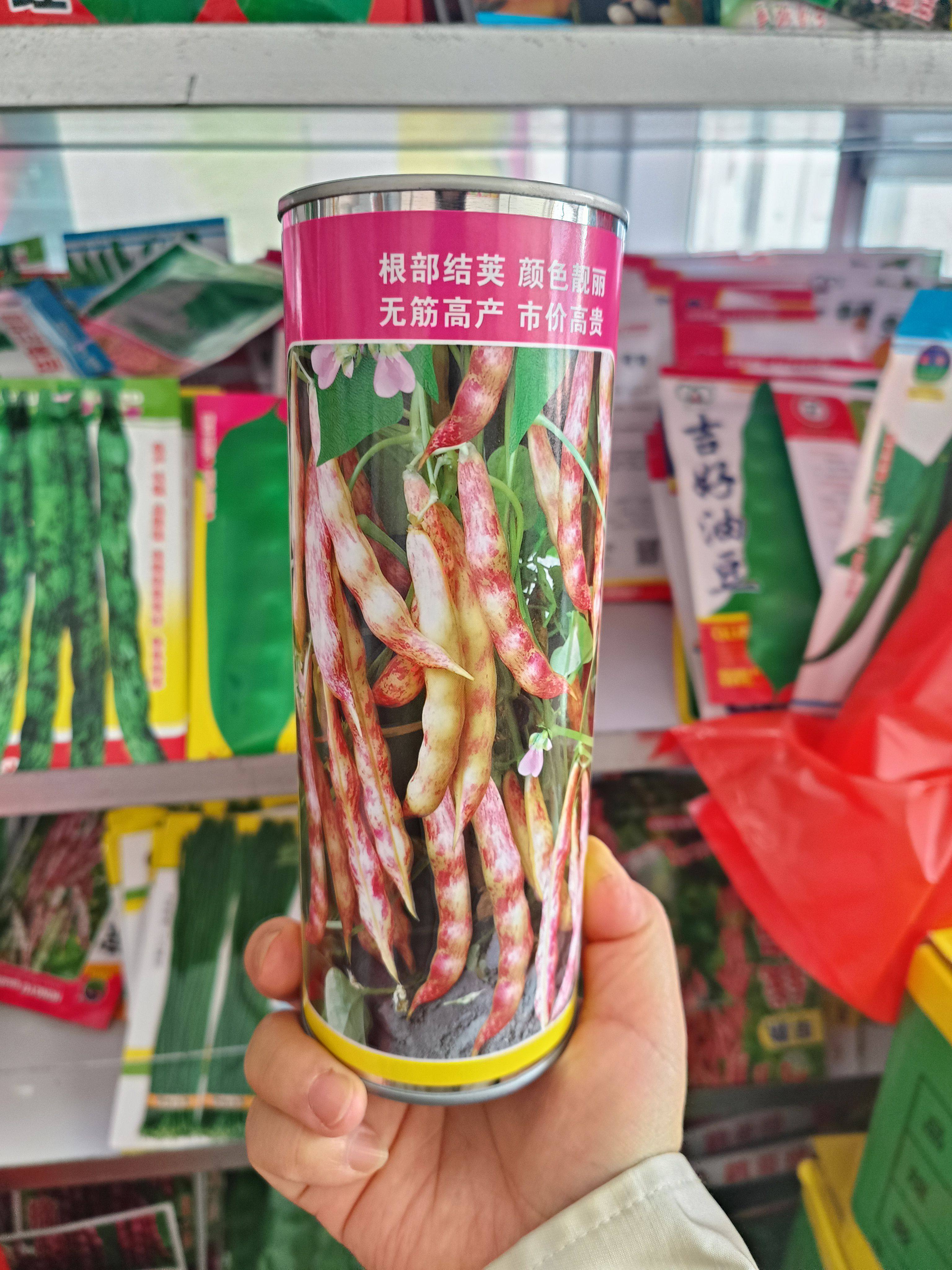 早熟红金钩豆角种子精装铁盒1斤