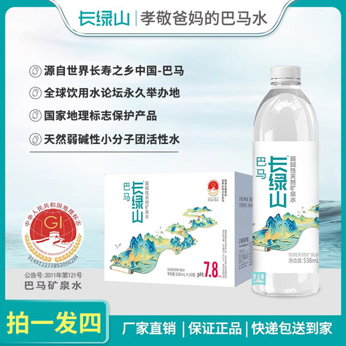 长绿山538ml*10瓶广西巴马