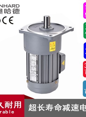 雷奥哈德减速电机200/400/750W三相立卧式马达齿轮中型220V小金刚