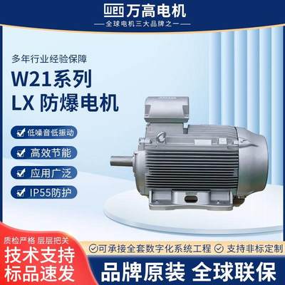 W21LX防爆电机IE30.55/315W机械高压设备电机铸铁粉尘隔爆电机