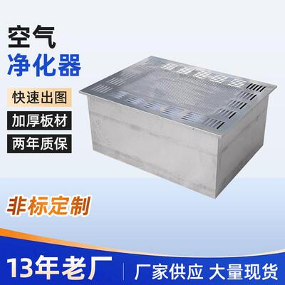 移动式吊顶式空气自净器送风口四件套设备实验室600800型自净器厂