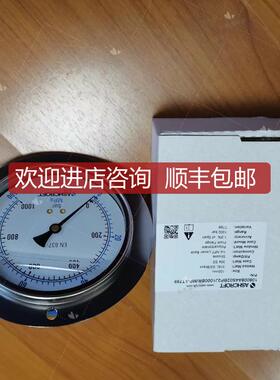 雅斯科压力表108008A4S02BP2J1000BR/MP-XT799  100MPA轴向询价